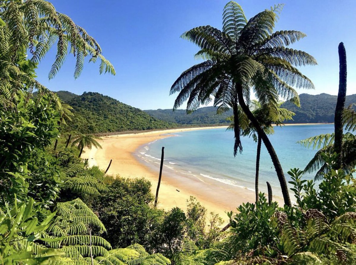 PureNewZealand's tweet image. Slice of paradise. #NZMustDo 

[📍Abel Tasman National Park. 📷: IG/bradyneverywhere]