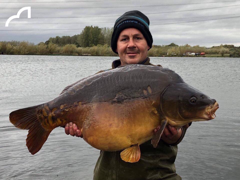 Spotted Fin tweet media