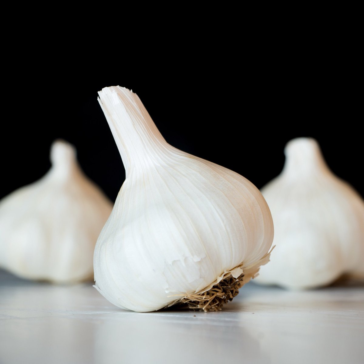 theneoalchemy's tweet photo. Garlic—a culinary building block across history and around the world. Read about our relationship in “The Ingredient Project.” Link in bio. https://t.co/wNUdRGwPRA