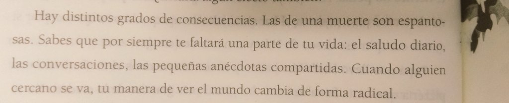Paolation94's tweet photo. #Brillaras la forma de ver el mundo ya no es la misma, creo que decides vivir más intensamente la vida. Me encanta este libro @annakarinef https://t.co/VDIV7jAYdP