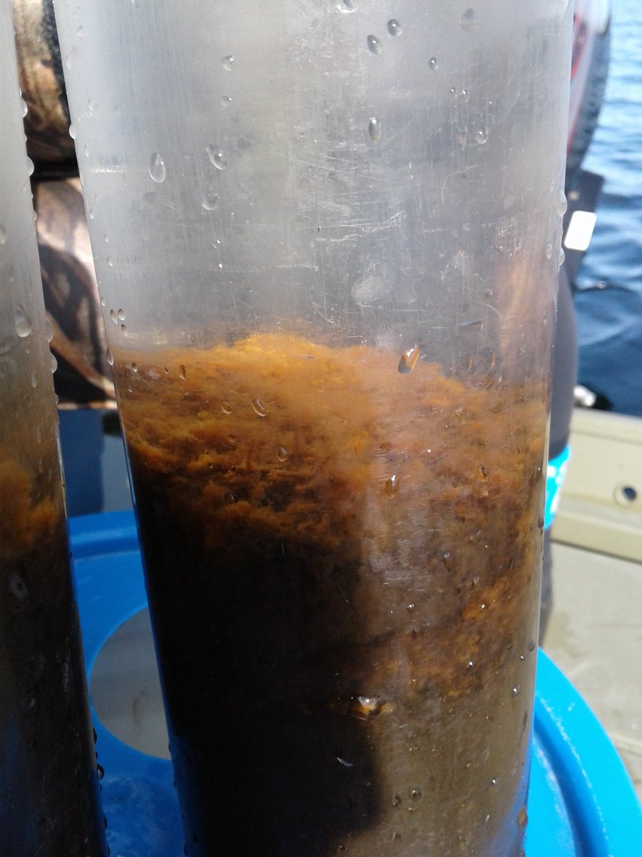 drtightline's tweet photo. Sampling Pockwock with @paleolimbot &amp; Heather, with help from @HalifaxWater. Largest drinking #water source east of Montreal, servicing 300k. Perfect core retrieved from 43.5 m! https://t.co/ftQJ6Ahuyc