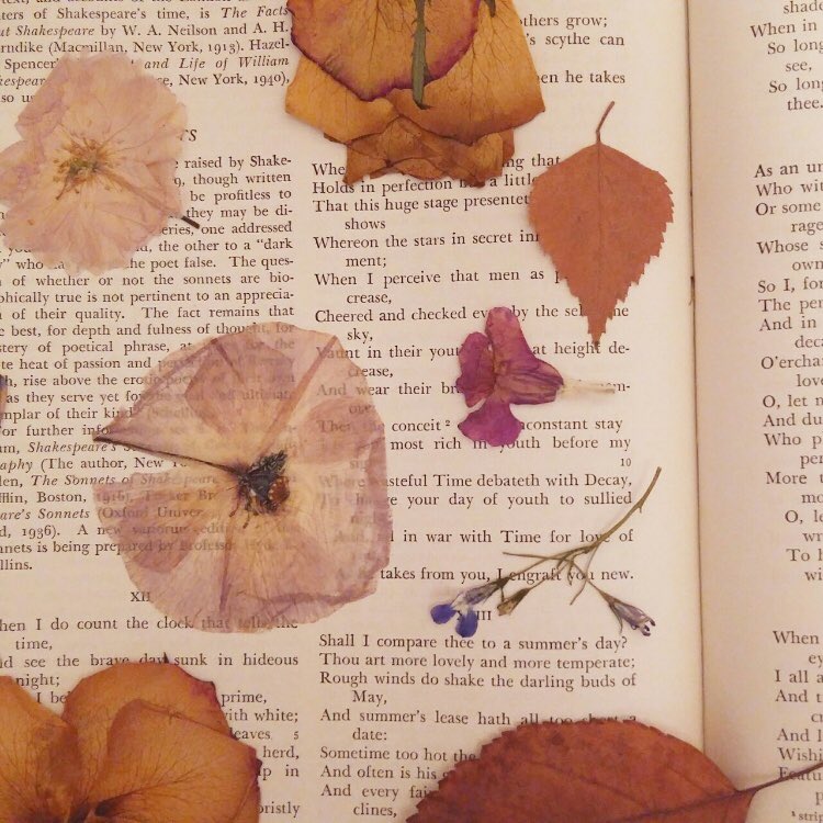 l’art (@tempsoubliables) on Twitter photo 