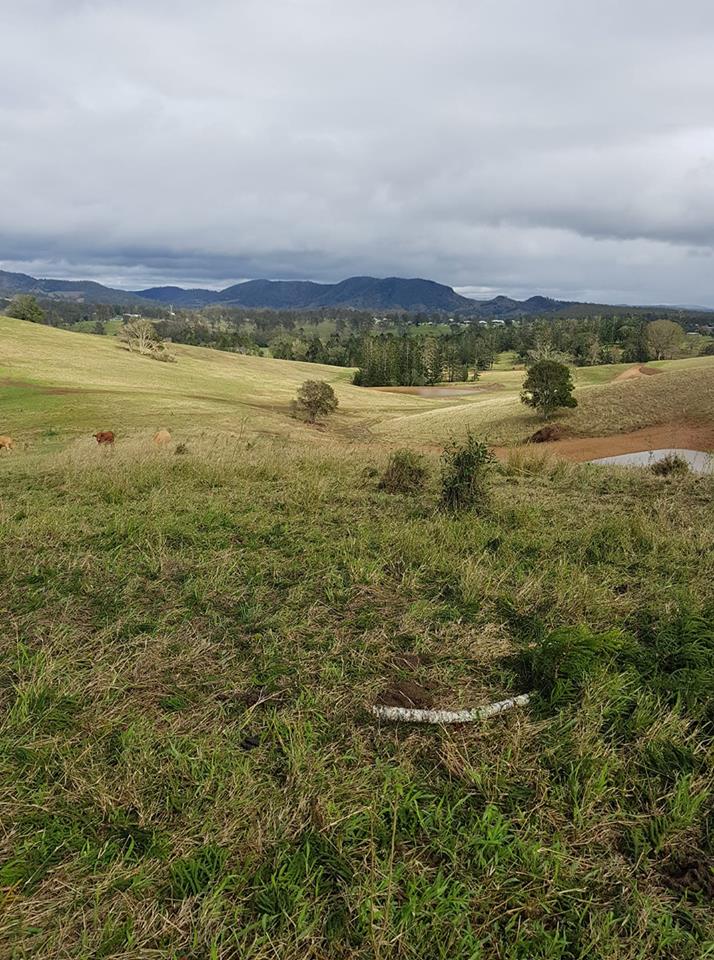 APracticalLife1's tweet image. Good Morning! How's the view from up here!