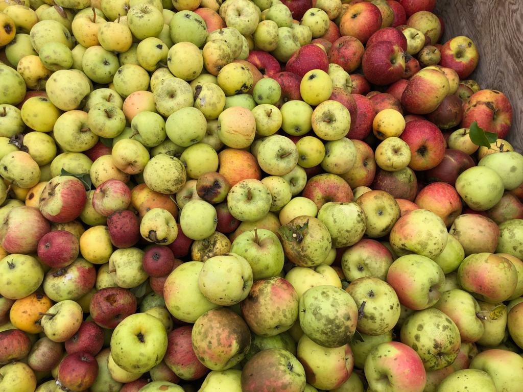 Primacider tweet media