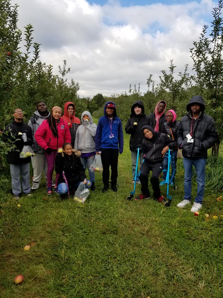 MissTermunde's tweet photo. A healthy food unit calls for a trip to Count Line Orchard! We are picking some apples to make our healthy snack alternative, apple sauce! @Creola4ever πππ³π#teamPhenomenal215 #TFNSOARProgram https://t.co/TIDJ4JLwUR