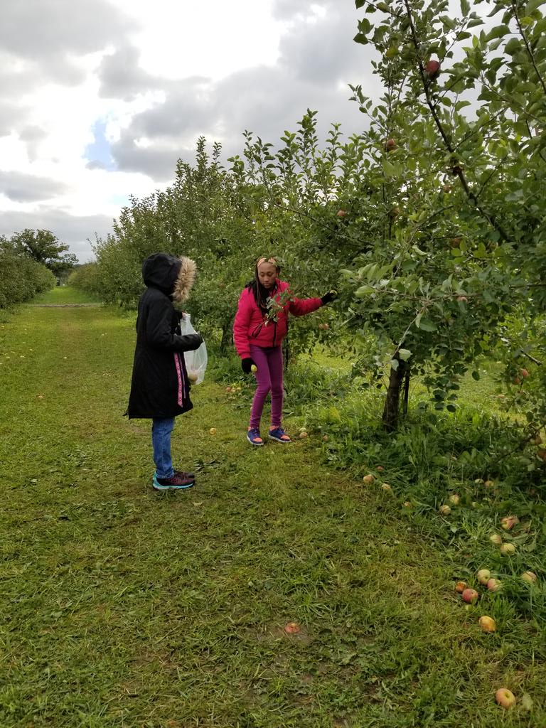 MissTermunde's tweet photo. A healthy food unit calls for a trip to Count Line Orchard! We are picking some apples to make our healthy snack alternative, apple sauce! @Creola4ever πππ³π#teamPhenomenal215 #TFNSOARProgram https://t.co/TIDJ4JLwUR