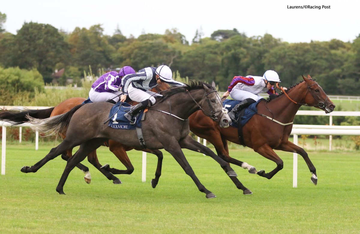 » Laurens Supplemented for QEII on Champions Day
thoroughbreddailynews.com/laurens-supple…