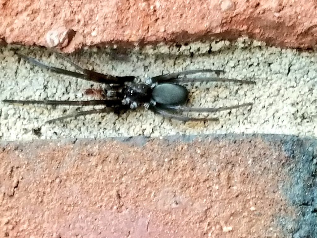 When Chief asked me why I wasn't using the employee door at the department, I gave him 8 reasons. 😐