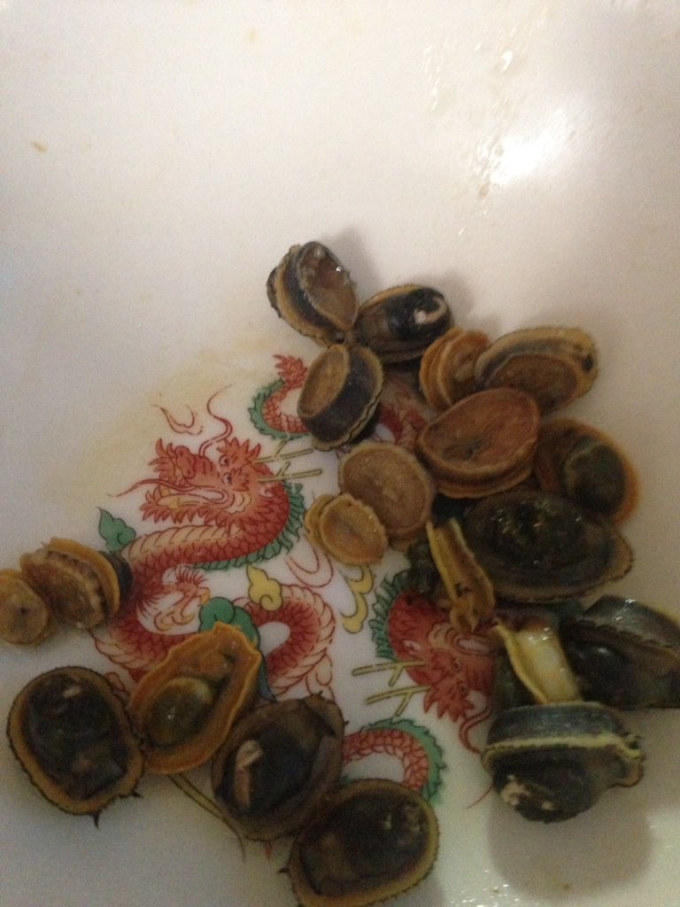 しんぽう 職場の同僚がサーフに釣りに行きたいなんて珍しく言ってきたので 釣れないと思ったけど一緒に行った テトラポッド にマツバガイがいっぱいくっついていたので 釣りはほどほどにして貝を採って食べたらかなり美味しかった アワビとアサリの中間