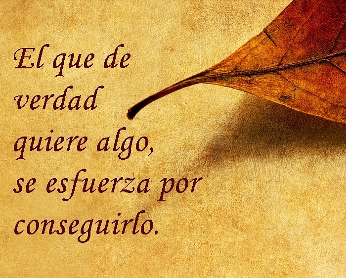luisaludable's tweet photo. Buenas noches!
#descansaysueñabonito #BuenasNoches #persiguetusueño #conconocimiento #conbuenaactitud #positivayadelante #persiguetumetaseacualsea #fuerza https://t.co/oEe7s8ut0P