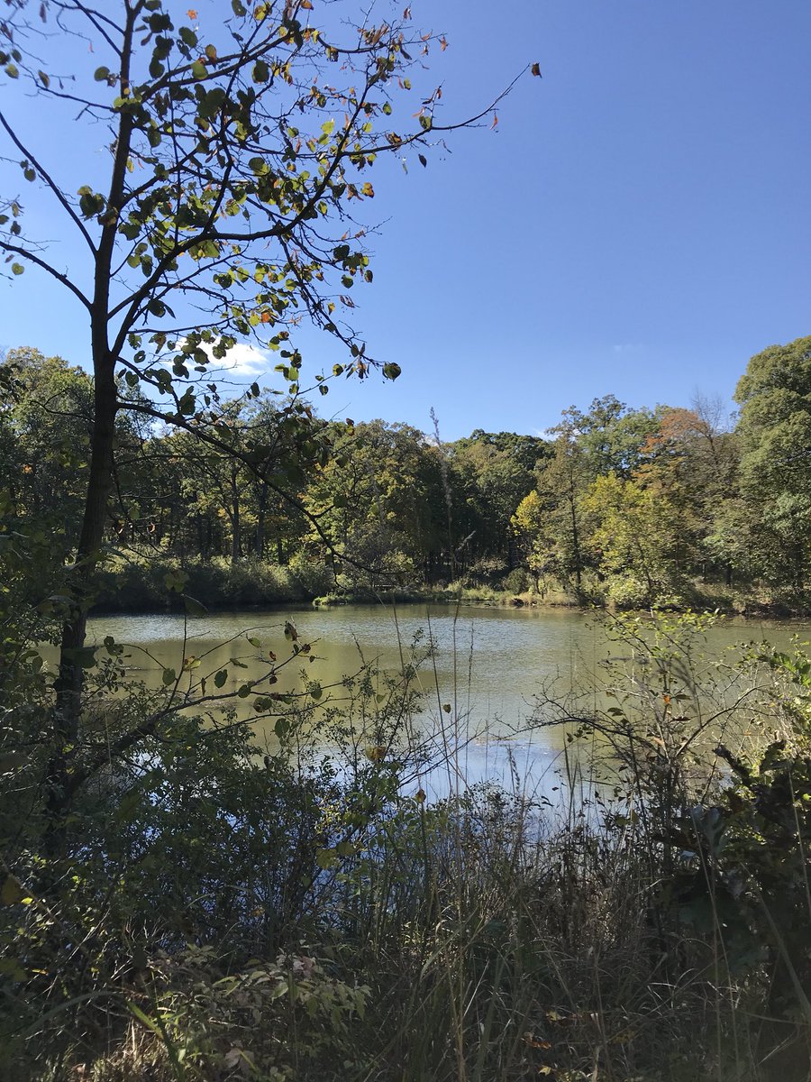 mhempen4's tweet photo. Fun day hiking through Morton Arboretum with environmental science &amp; art students! Love when students want to explore nature 🌳 🍁 #naturelovers #d127getsreal https://t.co/7mGpzrQoAr