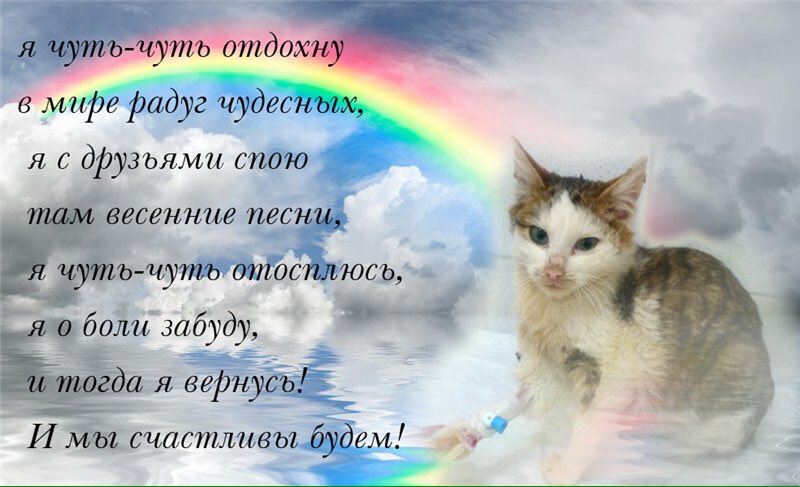 Картинки, беги по радуге открытки