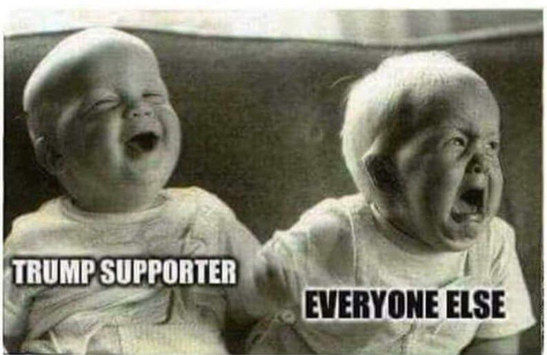 <a href="/LisaMarieBoothe/">Lisa Boothe</a> <a href="/PA4TRUMPD/">MAGA American4TRUMPD</a> <a href="/realDonaldTrump/">Donald J. Trump</a> @elizabethforma <a href="/MichaelAvenatti/">Michael Avenatti</a>