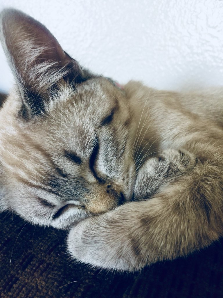 𝒜𝓁𝓁𝒾𝑒 ♥ tweet media