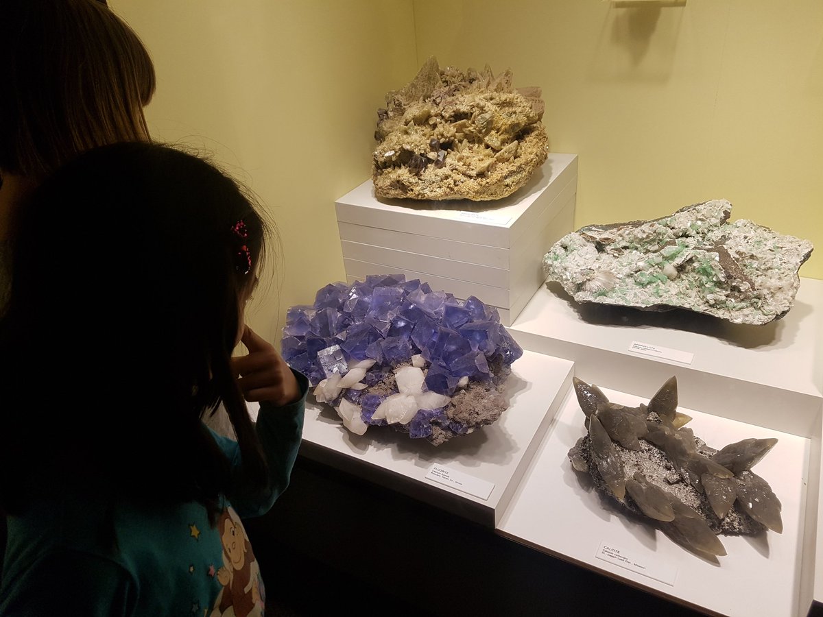 Soaringingrade3's tweet photo. So much fun at the Glenbow Museum! Students examined rocks and classified them as igneous, metamorphic, or sedimentary. #jrgeologists @Glenbow #hawkwood3s https://t.co/aWnt9SQy3b