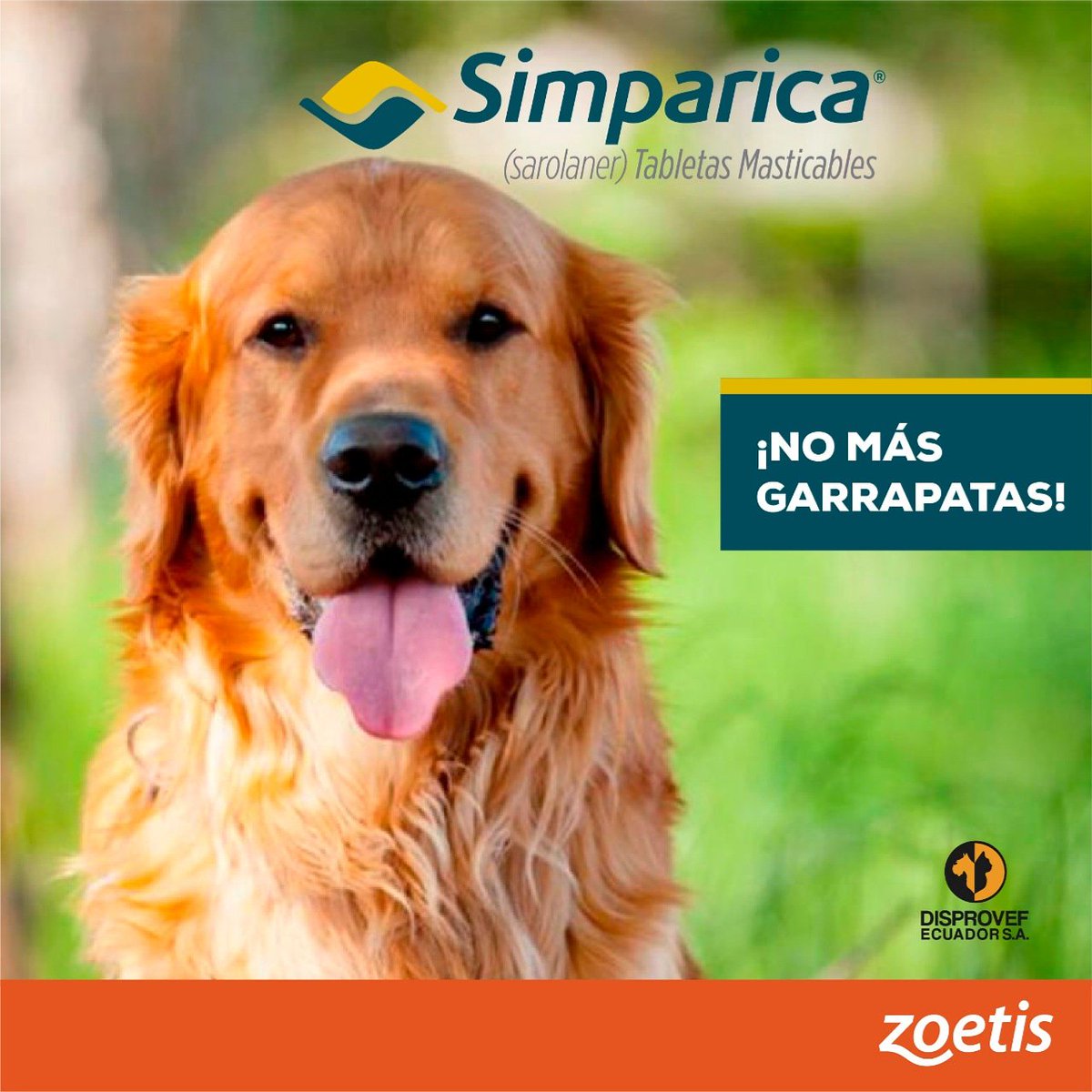 disprovefec's tweet photo. 📌Las enfermedades transmitidas por las garrapatas causan síntomas como falta de apetito, fiebre, tristeza y pérdida de peso.
Simparica, un comprimido sabroso que protege a su perro por 35 días contra garrapatas, pulgas y ácaros. 🐕🐾

#NoMásGarrapatas #BienestarAnimal #perro https://t.co/L8sCVg2zyb