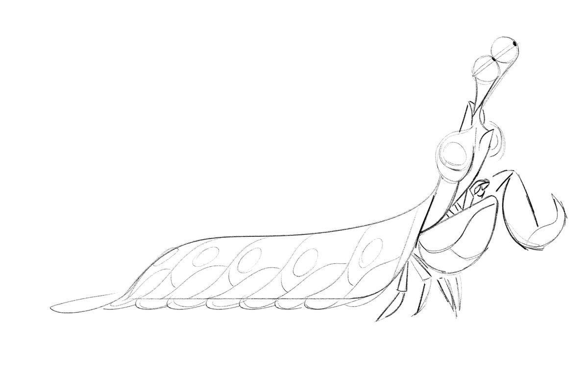 PortlynnTagavi's tweet image. Mantis Shrimp from when I worked at Paramount.