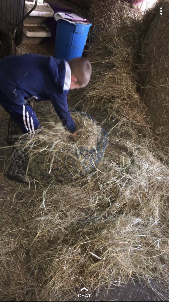 allison_donna's tweet photo. Derek primary 6 @mrmanchip helping his sister at her horse !! @BainsfordPS https://t.co/Q5LyoI12Bf