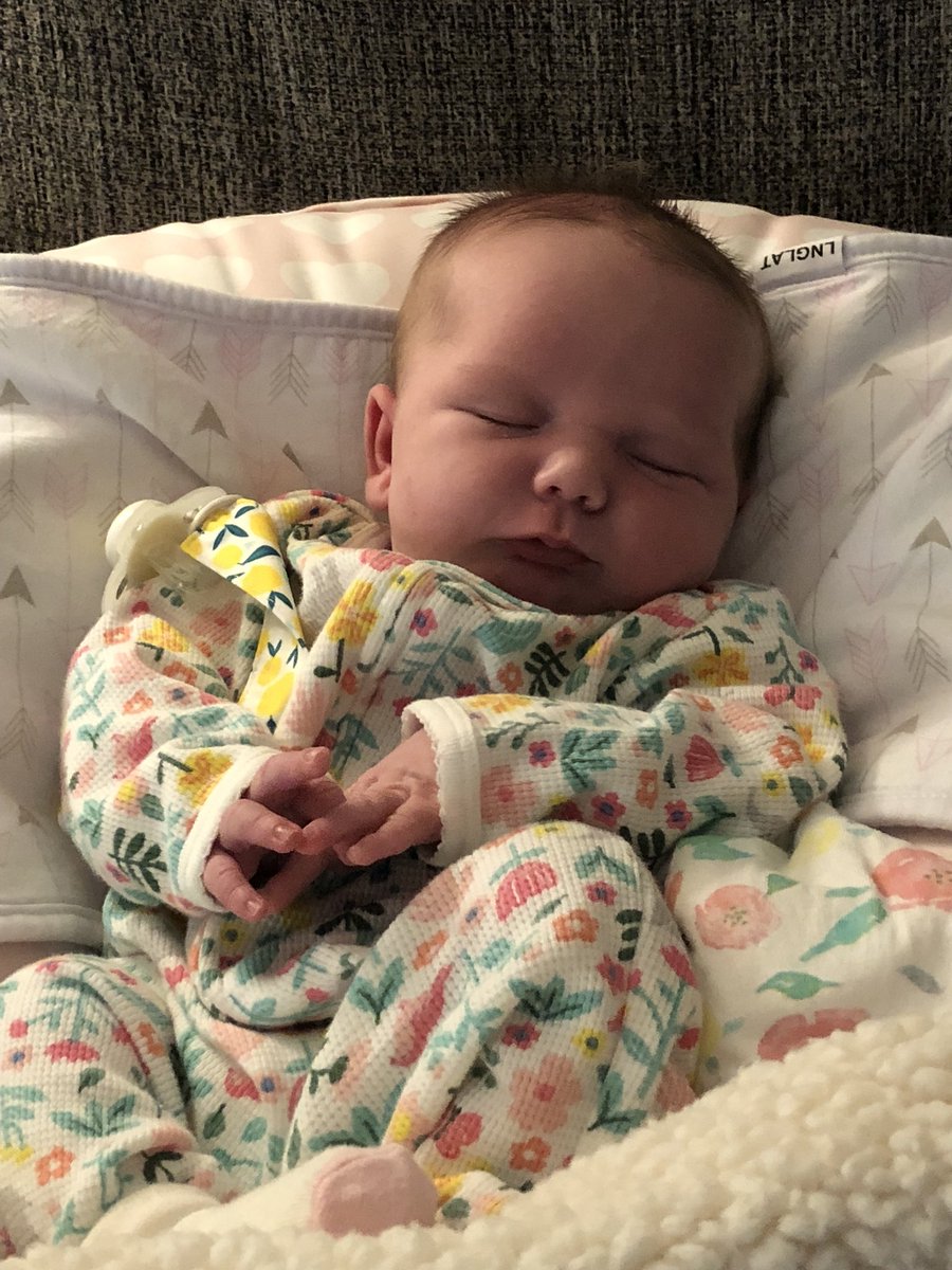 Josh Altenthal tweet media