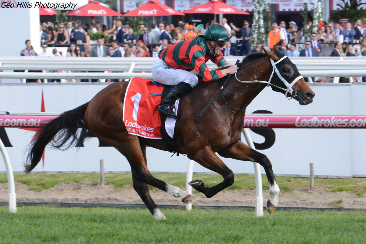 Lion_Tamer_Nz's tweet photo. Here comes the sun (doo doo doo doo) here comes the sun and I say ,its all right . #theautumnsun #arrowfield #cwaller #superstar #seeyouinautumnsun #beatlesquote https://t.co/0V2M242zeN