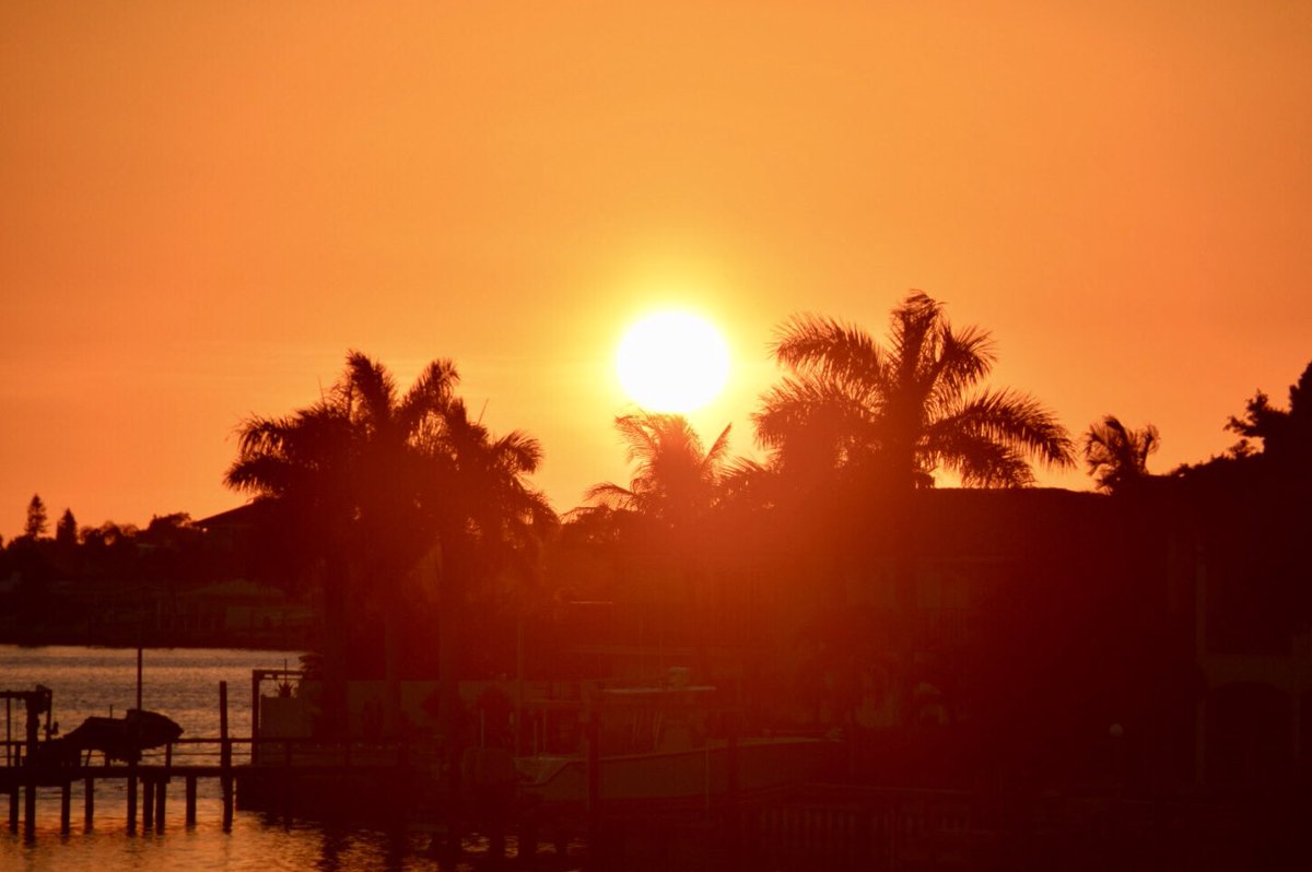 Trude Rini Forde (@truderiniforde) on Twitter photo 