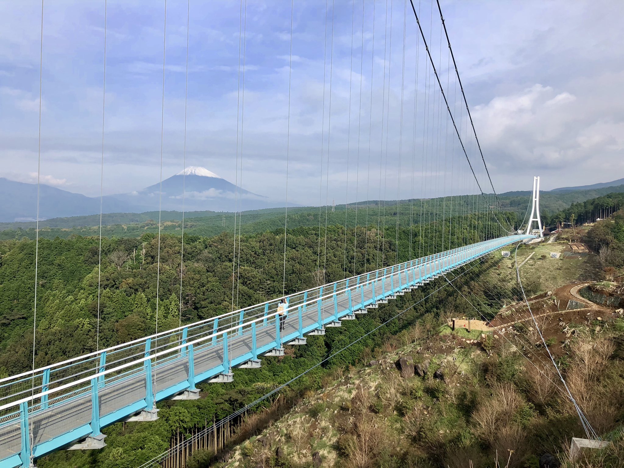 アルバート・ヴォーグ・ワイマン シテ島の眺め 。 シテ島 クチコミ