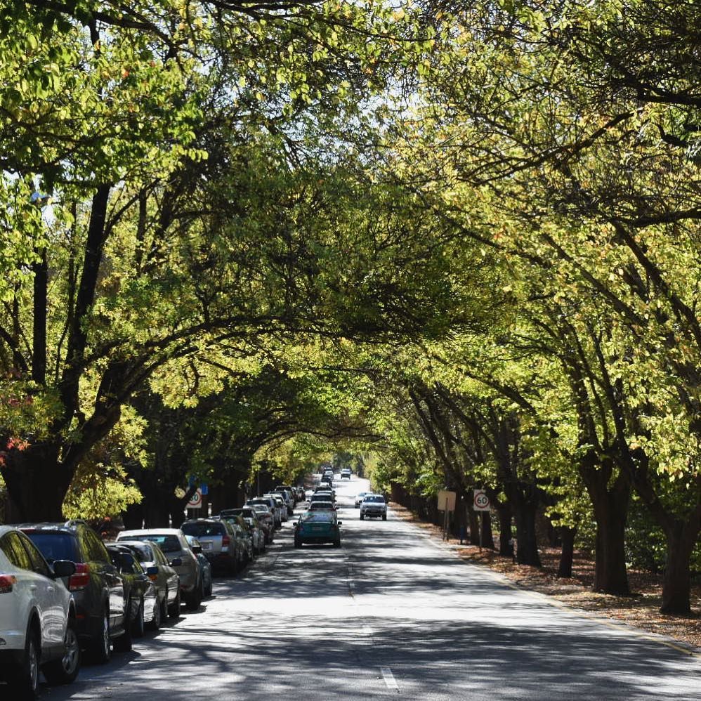 The drive in to Hahndorf looks so awesome! Photo by @chloe_papalia
#hahndorf #hahndorfinn #adelaide #tourismadelaide #germanbeer #beer #food #adelaidehills #restaurantaustralia #germanfood #applestrudel #apfelstrudel #seeaustralia #seesouthaustralia #sausages