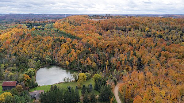 raviakaram's tweet photo. New artwork for sale! - "Fall Foliage" - https://t.co/jZk6StFOec @fineartamerica https://t.co/ZTMu0PRjTZ