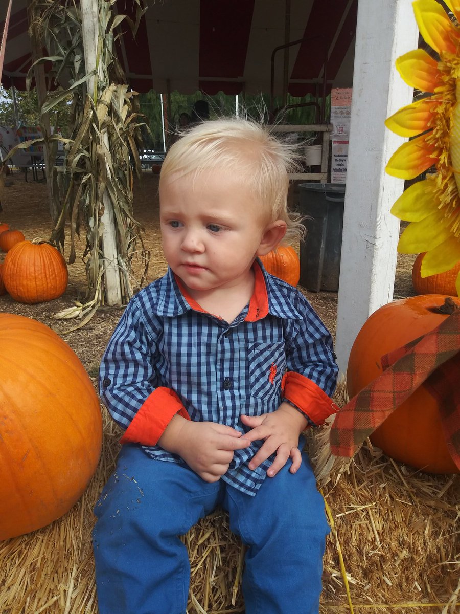 summerwilcox9's tweet photo. Hes cute https://t.co/QbIWb7uLEH