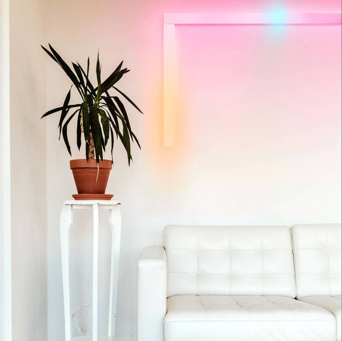 TecKnowMe's tweet photo. Customize your own space with the LIFX beam. We can help you ๐
.
.
.
.
.
#lifx #tecknow #lights #lifxbeam #homekit #homedecor #homeapp #applehomekit #moderndecor #lighting #smarthome https://t.co/cYN98TLbhy