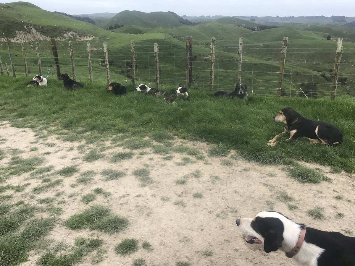 MorrisonFarming tweet picture