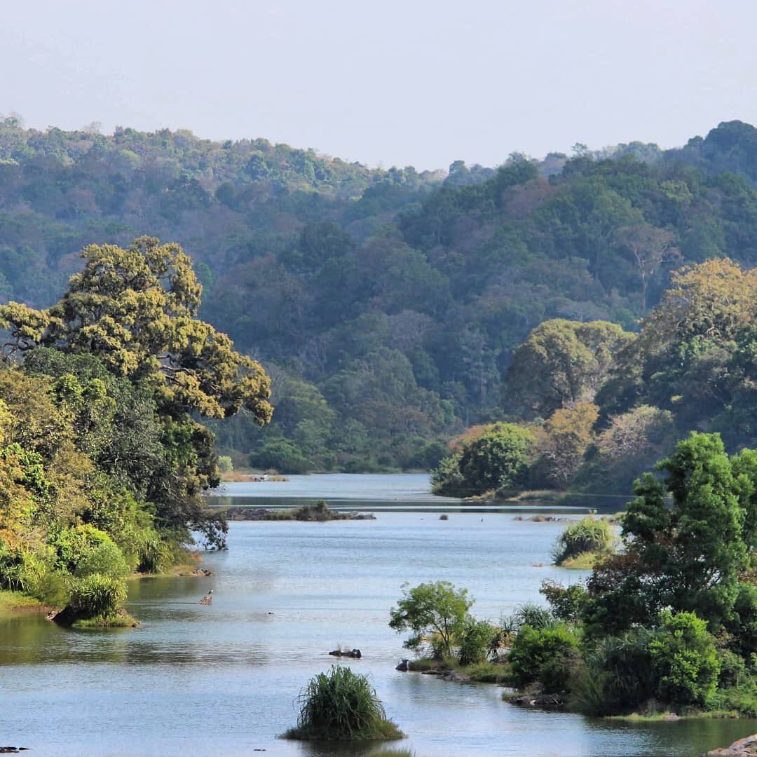 5visitors's tweet photo. Once in a while, give yourself a break. A true one. #Shivamogga #Malnad #TravelKarnataka #IncredibleIndia #5visitors https://t.co/9rNNqYQk8y