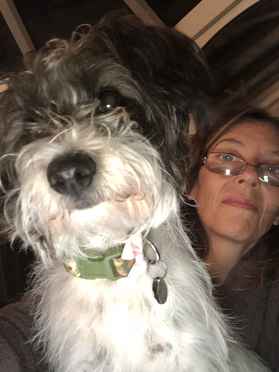luciebowins's tweet photo. This is what I have to contend with during early morning editing #amwriting #mybeautifuldistraction #olive https://t.co/ASyIx3Umkd