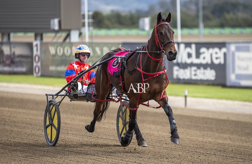 racing_shane's tweet photo. My Elusive Dream NZ gives Stable driver Cam Hart his 150th winner! 🙌🏼 https://t.co/hCd99EjWuB