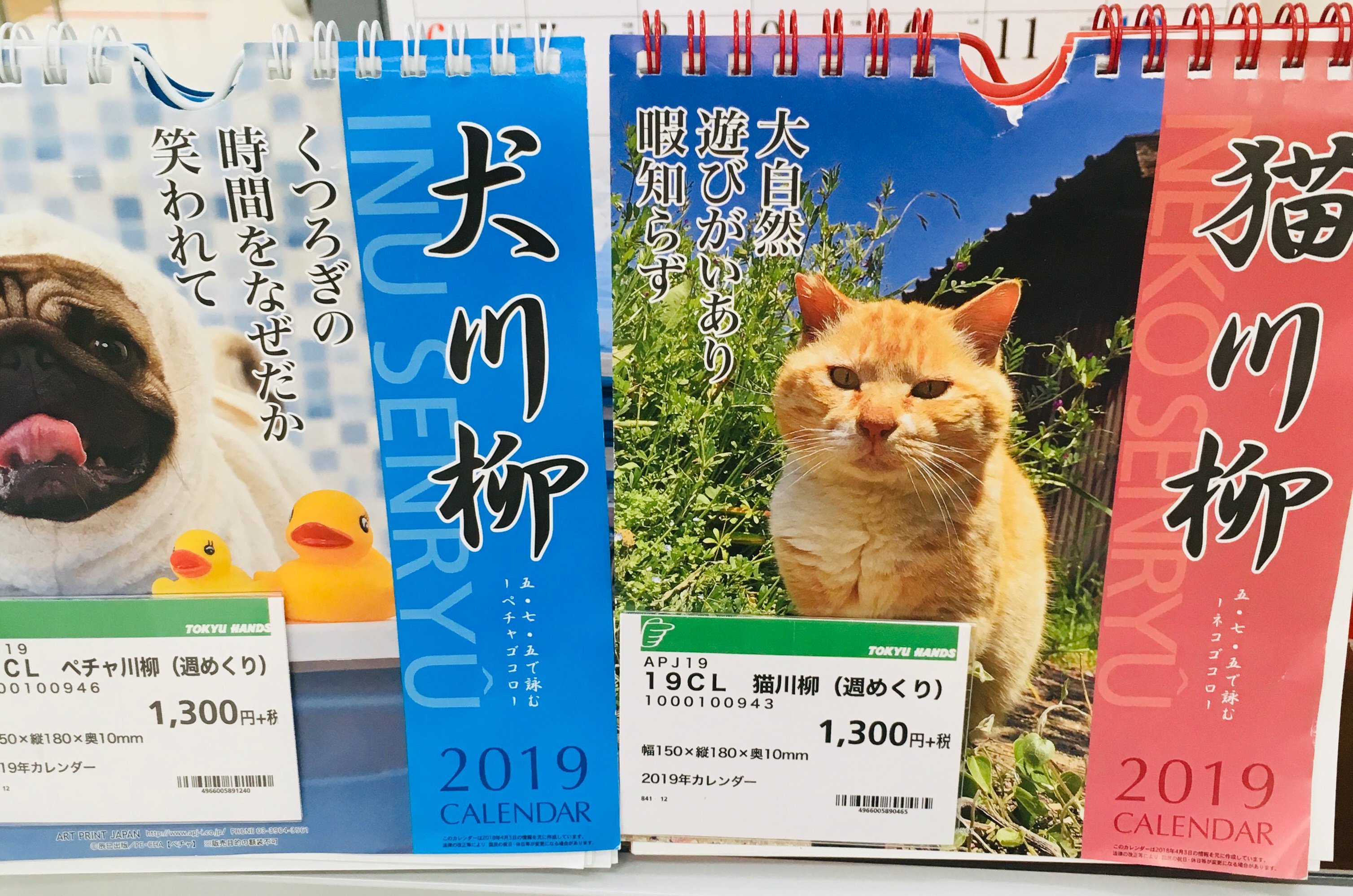 تويتر 東急ハンズ新宿店 على تويتر 毎年人気の犬 猫川柳カレンダーです 犬猫愛に溢れた川柳と写真に 思わずホッコリしてしまいます 飼っていない方でもおススメ ほのぼの一年過ごせそうです 犬川柳カレンダー 猫川柳カレンダー 各 1 300円 税 5階あいちゃん