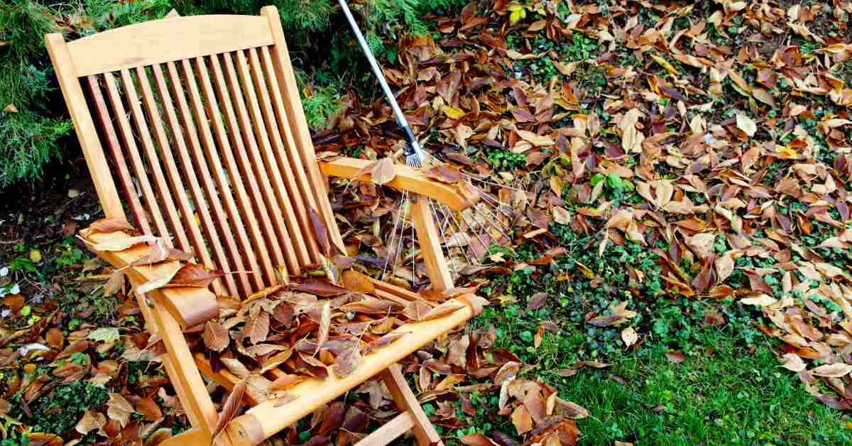 MethulpvanAafje's tweet photo. De tuin herfstklaar maken? Vraag om hulp van een professionele en vakkundige tuinman. Dan weet u zeker dat u de hele herfst van uw tuin kunt genieten. Meer informatie? Bekijk onze website https://t.co/aSglyT2luk of bel naar 088 648 1616. https://t.co/Fywct3ScP1