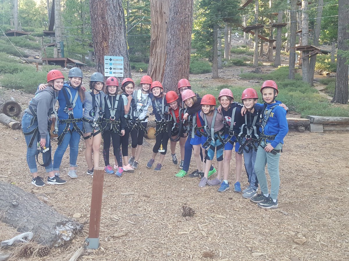 GlobalLFSF's tweet photo. A good afternoon on tree top. https://t.co/K21e4J2YSC
