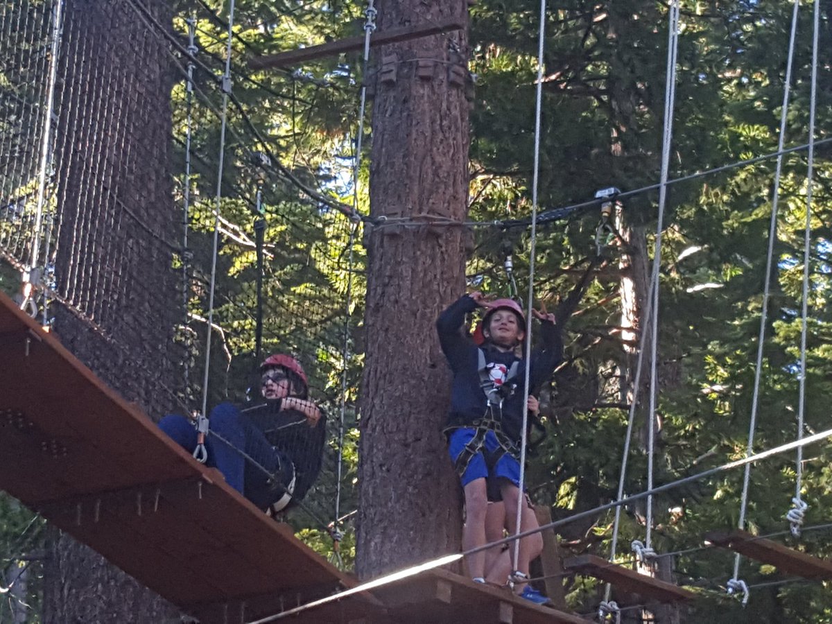 GlobalLFSF's tweet photo. A good afternoon on tree top. https://t.co/K21e4J2YSC