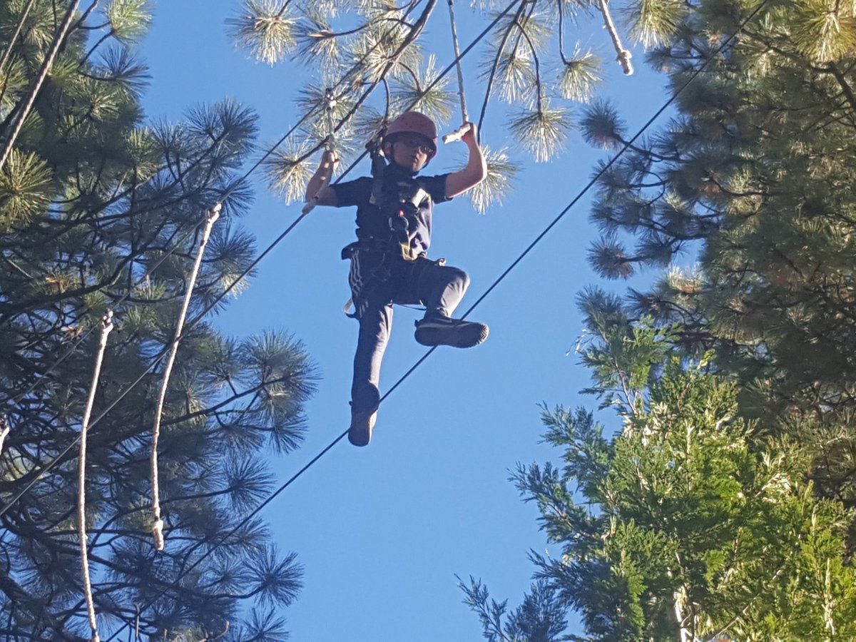 GlobalLFSF's tweet photo. A good afternoon on tree top. https://t.co/K21e4J2YSC