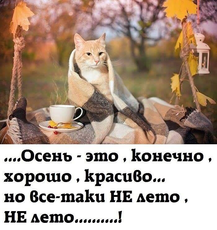 Картинки прикольные про осень с надписью, про зайцев