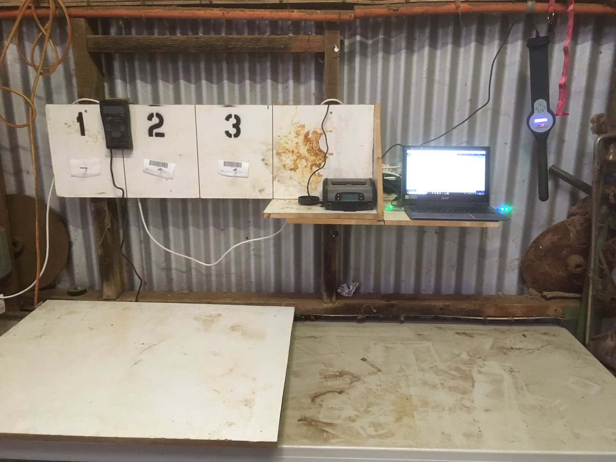 Fleece weights and side sampling the Hoggets.
#breedelite #karawathapark <a href="/rudigermaxpower/">Dion Woolford</a>