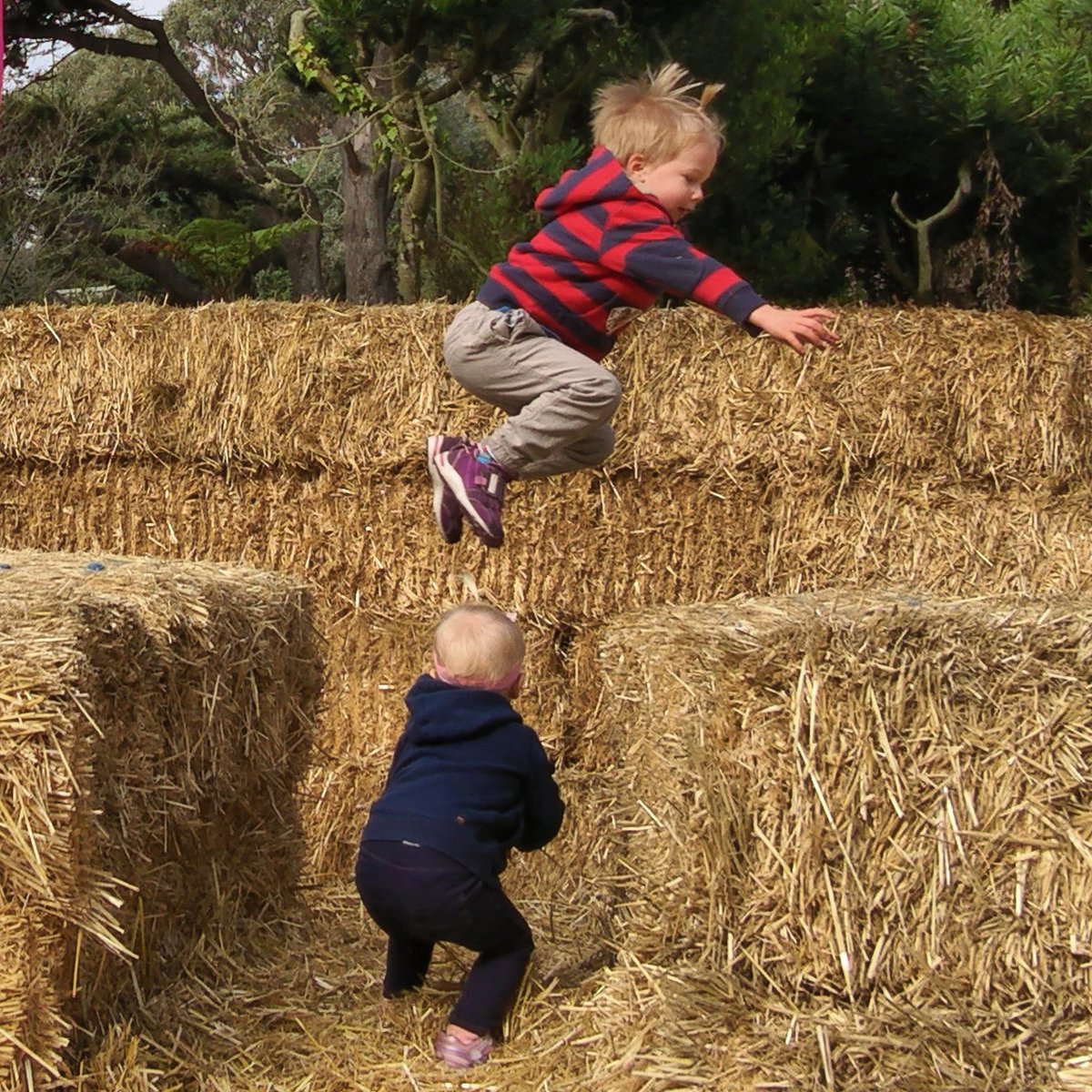 justonpayne's tweet photo. Ahh, autumn. When hay bales come to suburbia and 3 year olds do parkour.

Shot by #GoogleClips https://t.co/cGZiF7lNmZ