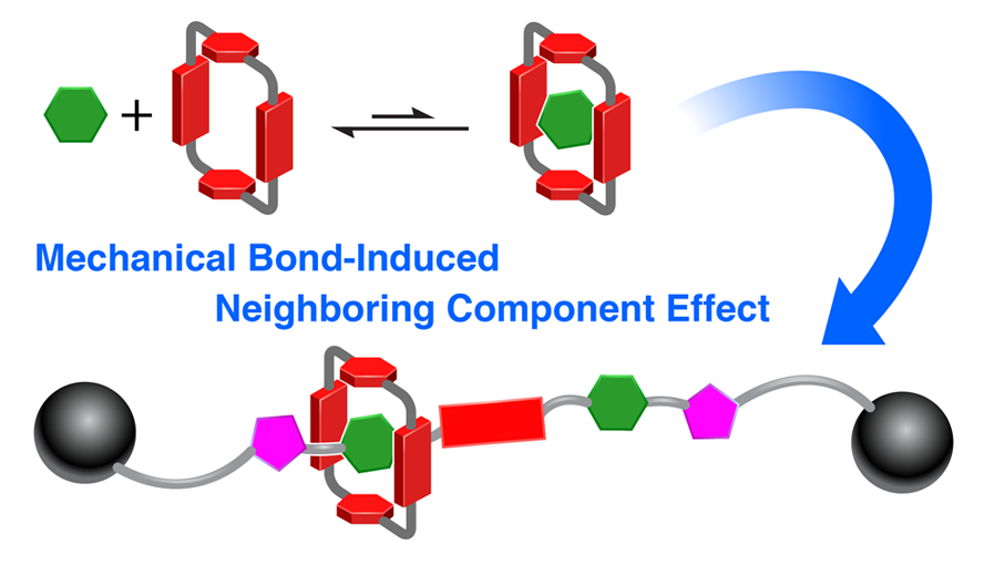 Yuping Wang (@yupingwang17) on Twitter photo Textbook knowledge is never too old...Check out our latest publication on applying the principle of the classic anchimeric assistance to investigate the otherwise very weak interactions: pubs.acs.org/doi/10.1021/ja… Thank you <a href="/sirfrasersays/">Fraser Stoddart</a> and all the collaborators so much! Textbook knowledge is never too old...Check out our latest publication on applying the principle of the classic anchimeric assistance to investigate the otherwise very weak interactions: pubs.acs.org/doi/10.1021/ja… Thank you <a href="/sirfrasersays/">Fraser Stoddart</a> and all the collaborators so much!