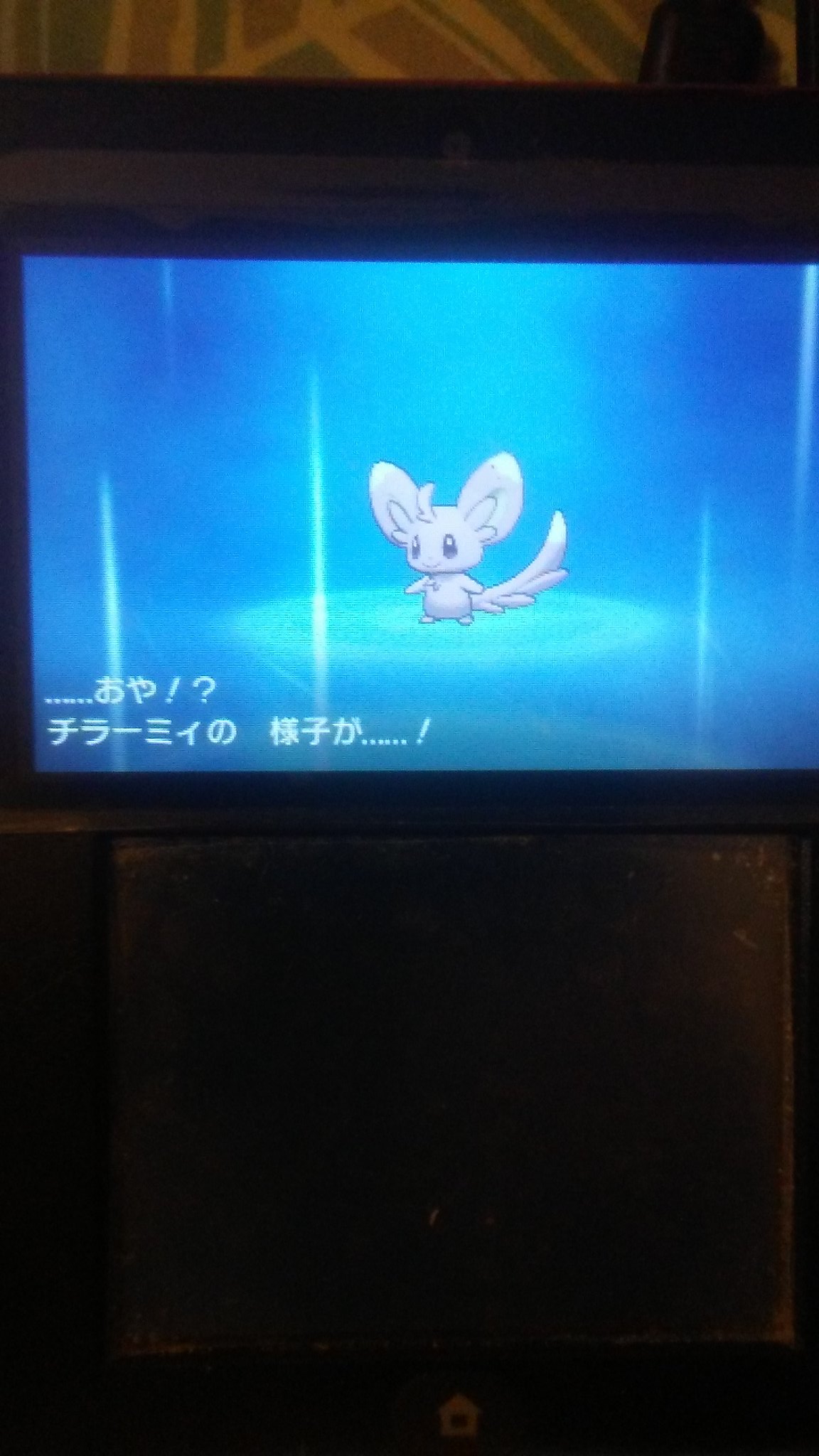 リナ 色違いのチェリネ チラーミィがドレディア チラチーノに進化しました 色違いポケモン ポケモンウルトラサンムーン 進化の石 リナ 色違いのチェリネ チラーミィがドレディア チラチーノに進化しました 色違いポケモン ポケモンウルトラサンムーン 進化の石
