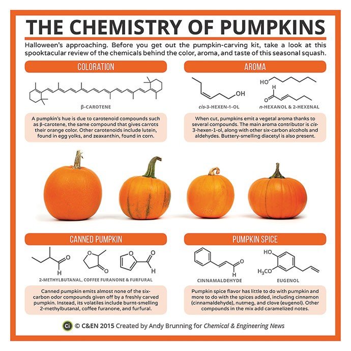 plantae_org's tweet photo. Pumpkins are the squashy stars of October! As you sip your pumpkin spice latte, take a moment to review the chemicals behind the color aroma and taste of pumpkins. @compoundchem https://t.co/gIc5Vl45ZW