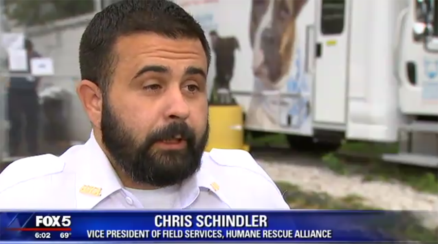 dogsbite's tweet photo. Chris Schindler, vice president of Field Services for Humane Rescue Alliance, which holds the contract for animal control for DC, "deliberately" lied to media and American public after a fatal pit bull attack, claiming "mixed-breed" to ALTER US dog bite fatality statistics. https://t.co/fQzxLA45FE