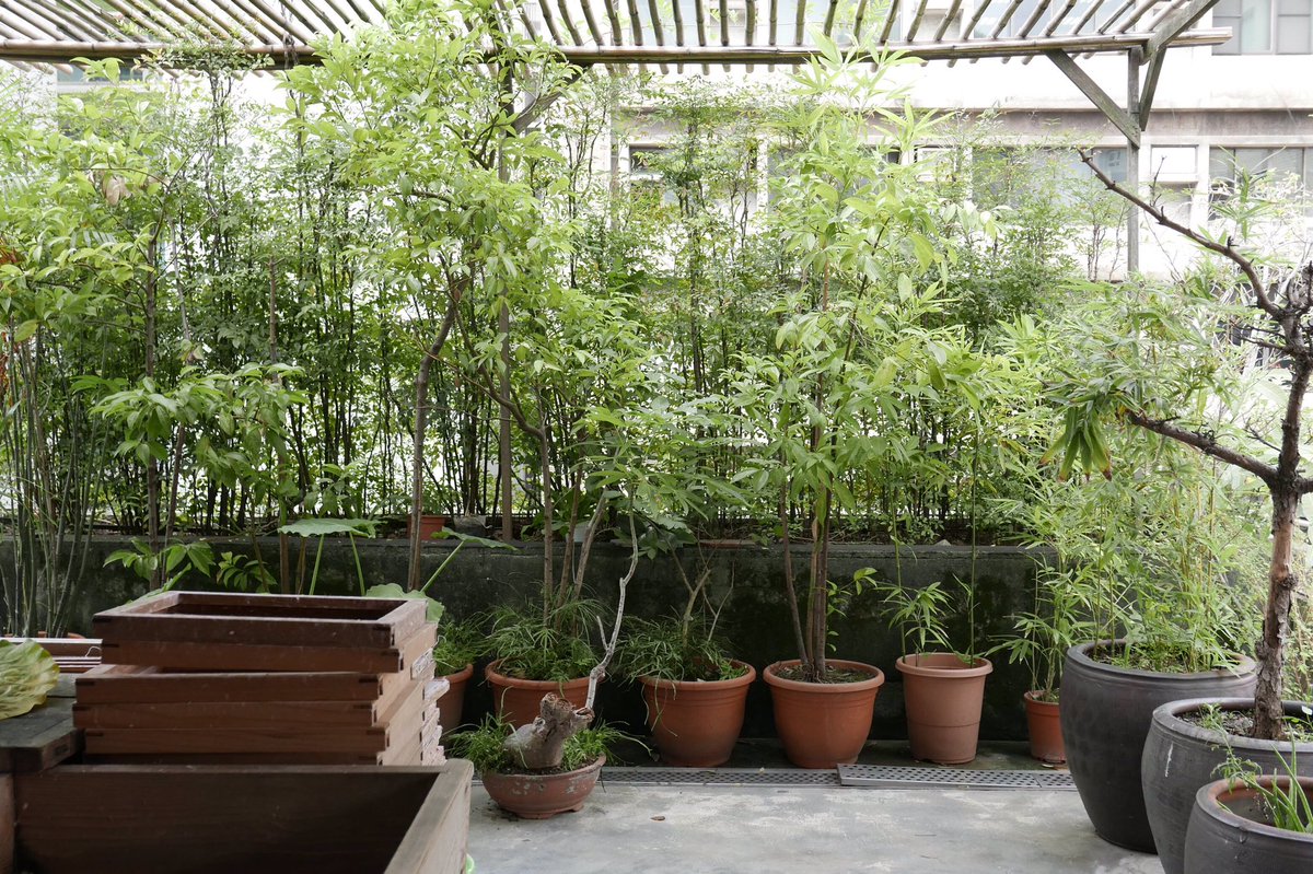 BindSomething's tweet image. 수호 종이 박물관에 다녀왔습니다. 바람이 솔솔 불고, 초록 식물로 둘러 쌓인 곳에서 종이를 만듭니다. 🌿🌿 #handmadepaper #bindsomething