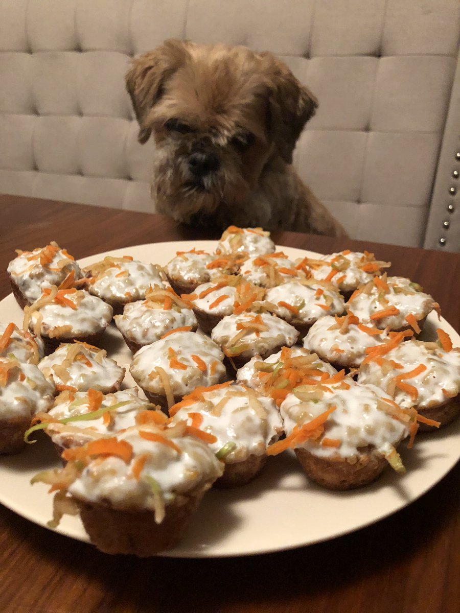 michaeljoel's tweet photo. .@oscarkauffman takes the cake: gluten-free 🍎🍌🥕cupcakes that is. Thx for the recipe @mindflpetparent! https://t.co/7JCakEyh86 #doglovers https://t.co/ZBLkwJnxGI