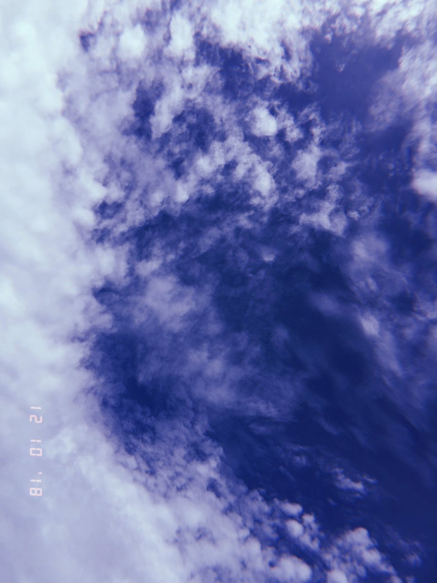 lilingho tweet picture