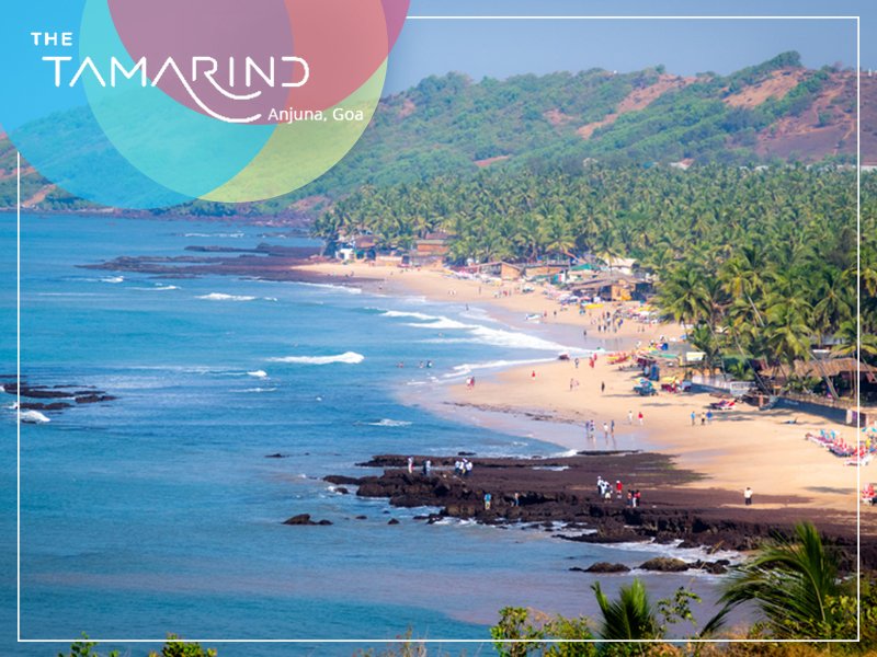 TamarindGoa's tweet photo. Bring out the photographer in you when visiting Anjuna Beach. Keep clicking great pictures and don’t forget to share them with us! 
Explore the beach while staying with us: https://t.co/m2AXu0Eouv
 #AnjunaBeach #TheTamarindHotel #Goa https://t.co/nMpZ6r7b11